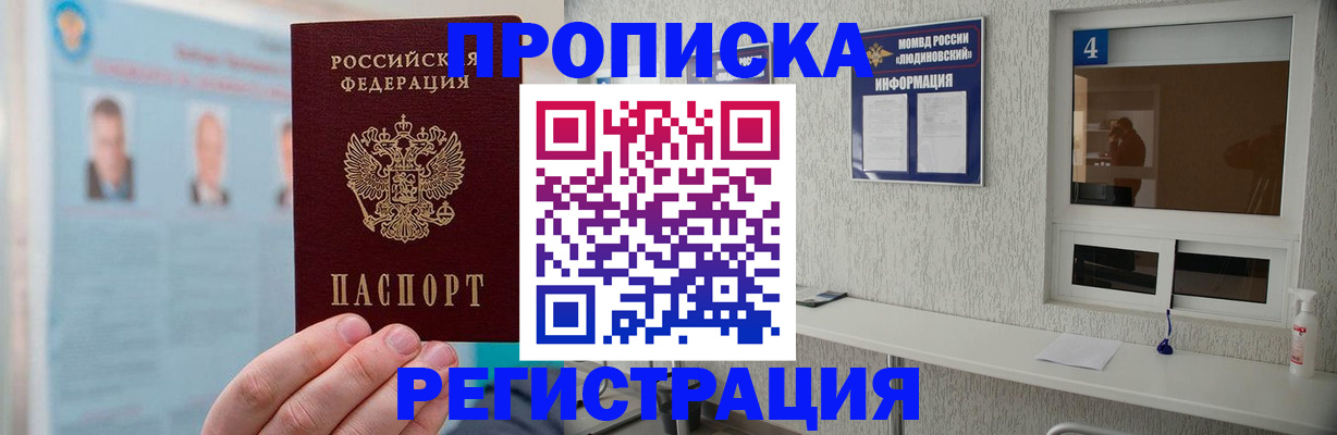 временная регистрация 2025 в Палласовке